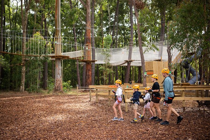 Zipline over the Heysen Trail & Through the Pines of Kuitpo - Price and value: $34 for 2 hours of hands-on tree time