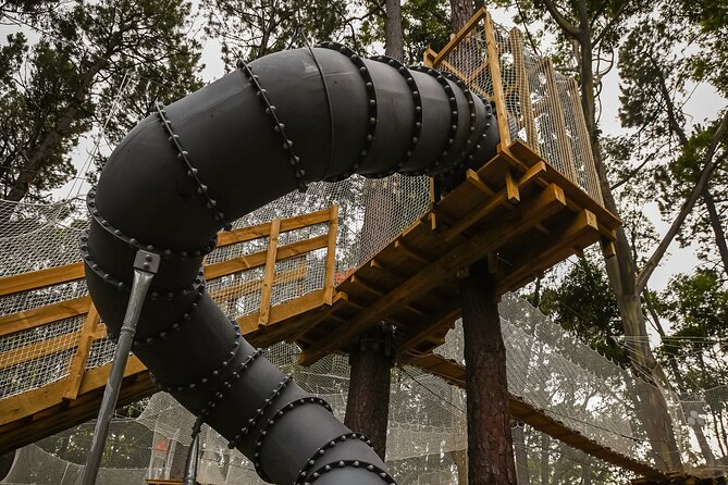 Zipline over the Heysen Trail & Through the Pines of Kuitpo - Grand Course fun: four treetop courses and 59 obstacles