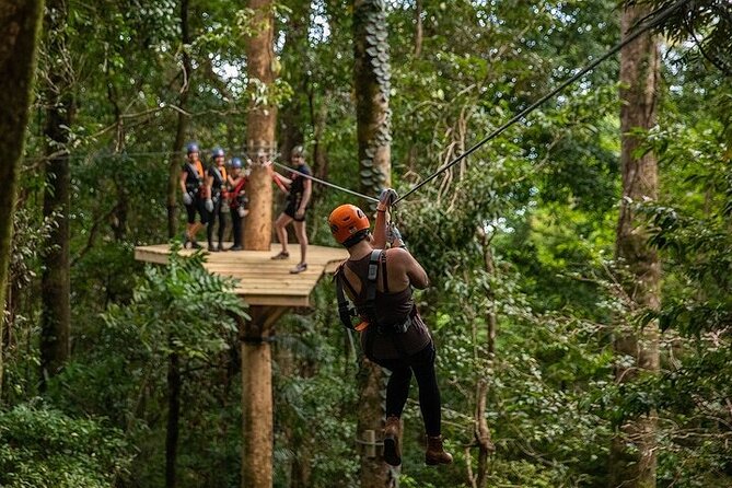 Ziplining Cape Tribulation with Treetops Adventures - Gear included, and safety rules you should take seriously