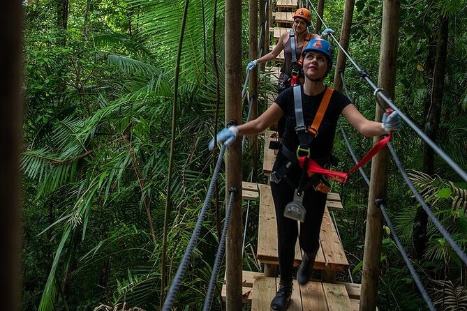 Ziplining Cape Tribulation with Treetops Adventures - Price of $104: value depends on how you buy, and how you define time