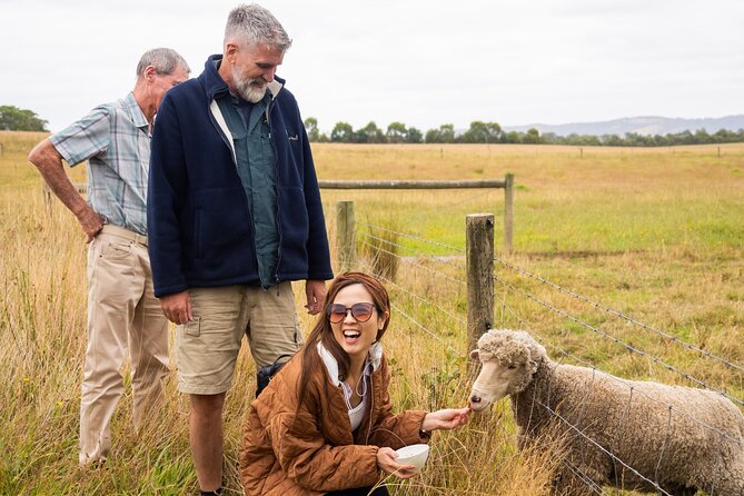 Yarra Valley Grazing Tour Wine, Cheese, Gin, Pizza from Melbourne - Coldstream Dairy Cheese on a Working Farm