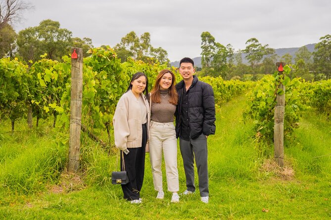 Yarra Valley Grazing Tour Wine, Cheese, Gin, Pizza from Melbourne - Pace, Group Size, and Why This Tour’s Mix Gets High Ratings