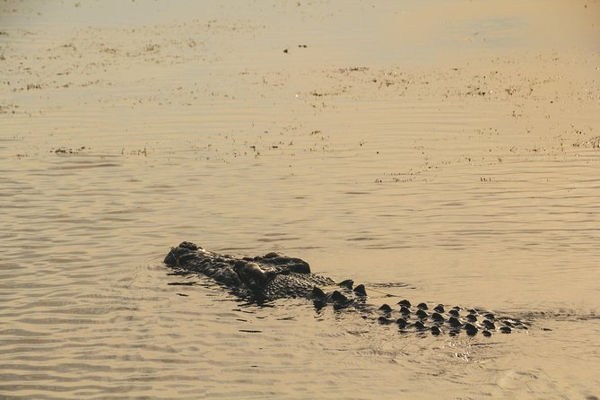 Yellow Water Cruise - Kakadu - Practical ways to make the cruise smoother
